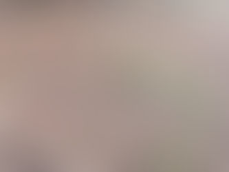 🚨 Sauvetage de petits chiots 29/02🚨