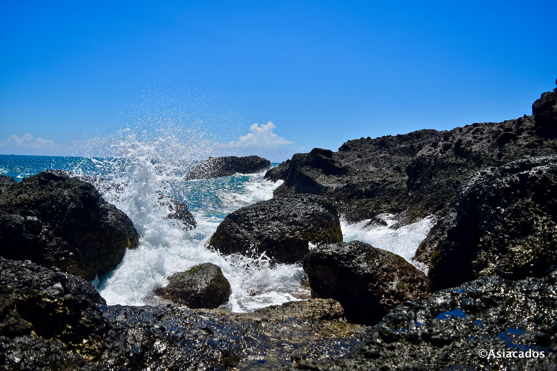 33-DSC_0286