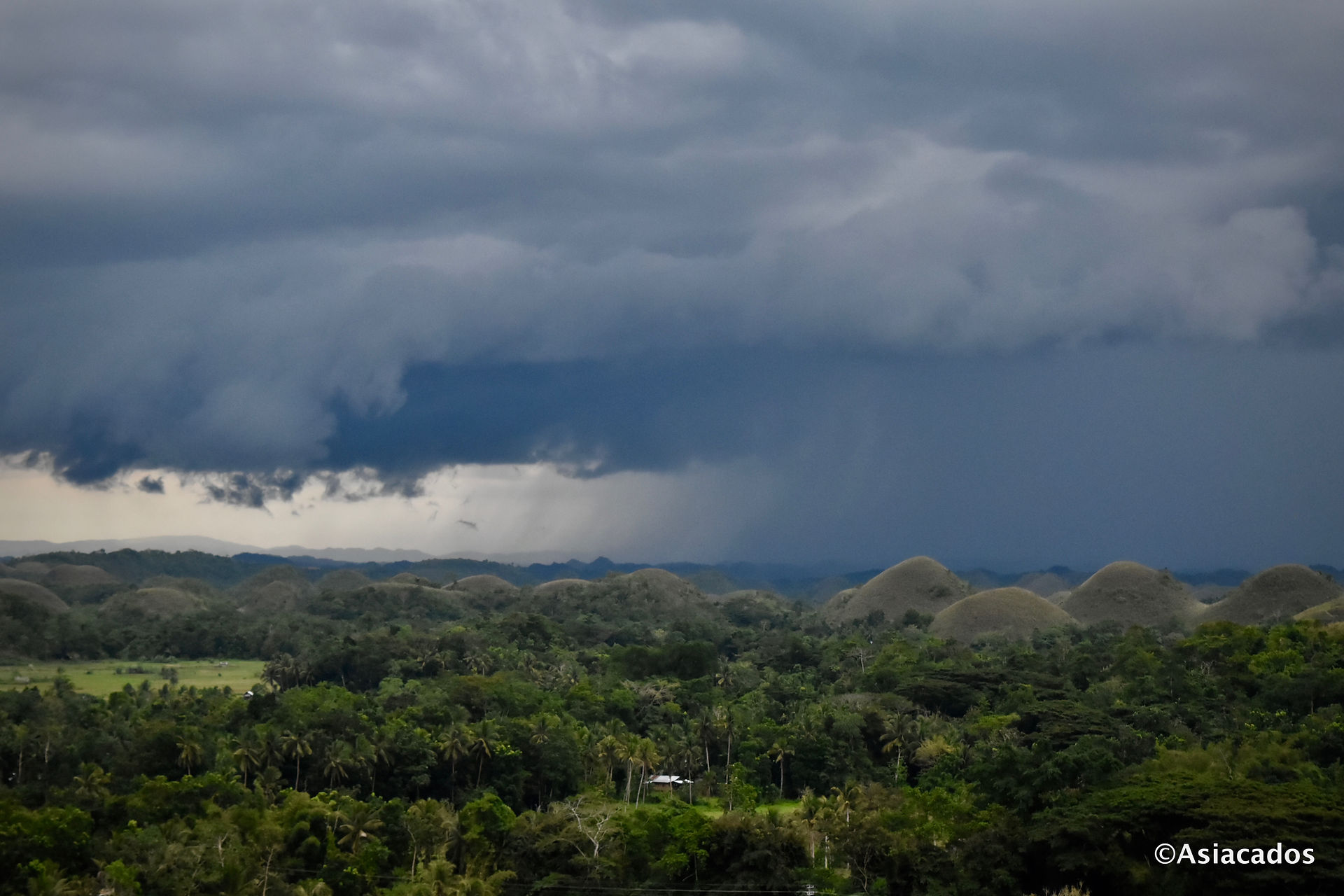 Chocolate Hills