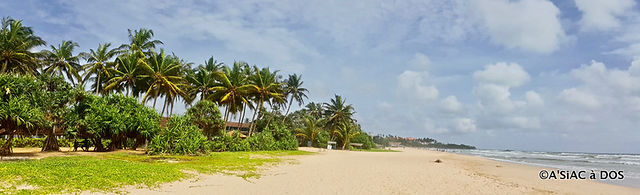 Stroll in Bentota