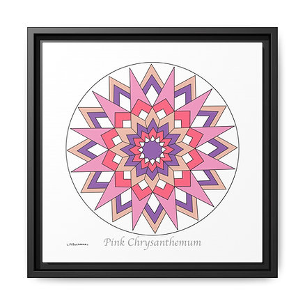 Pink Chrysanthemum Gallery Canvas Wraps