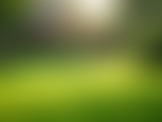 Transform Your Lawn with BZ Lawn Solutions