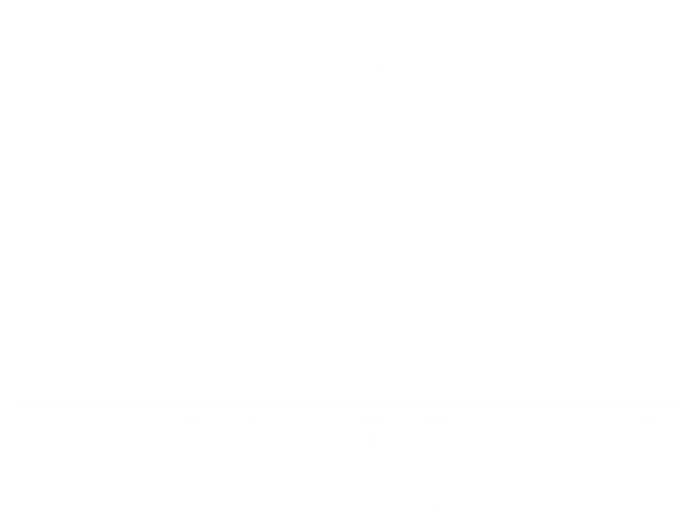 goellitzhof-logo-brennholz.png