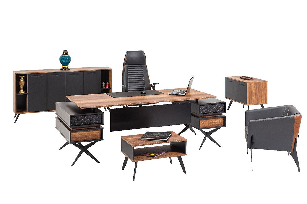 santa masa takımı, ofis mobilyaları izmir, makam oda takımı, ofis masası, ofis mobilya takımı,  modern ofis mobilyaları