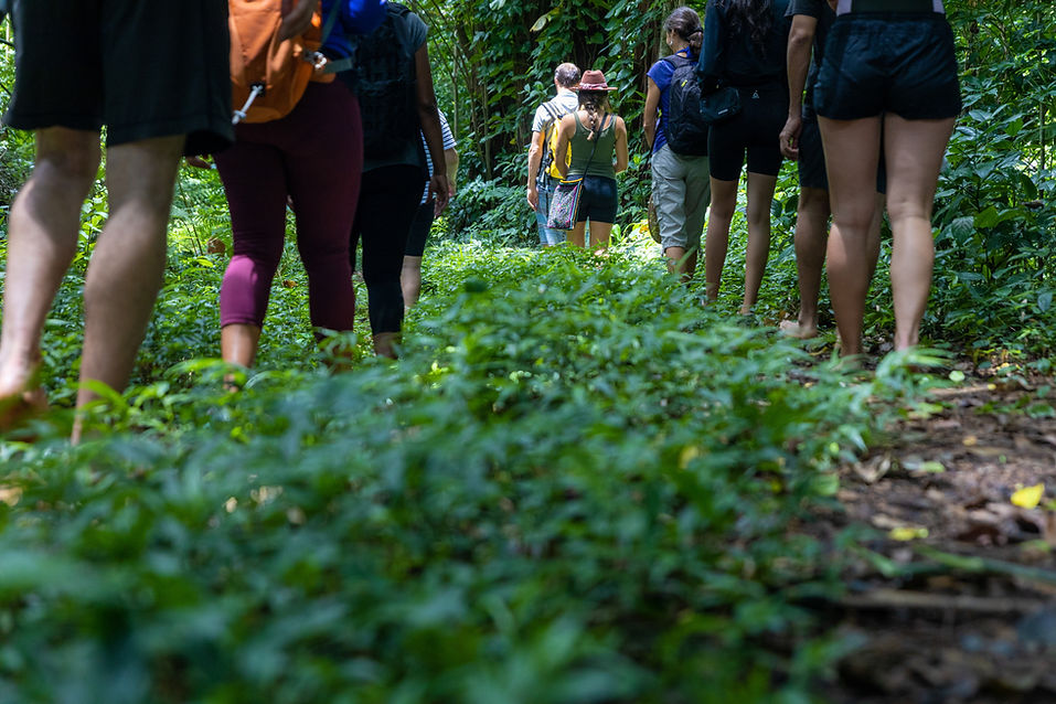 01 Nature Adventure.jpeg