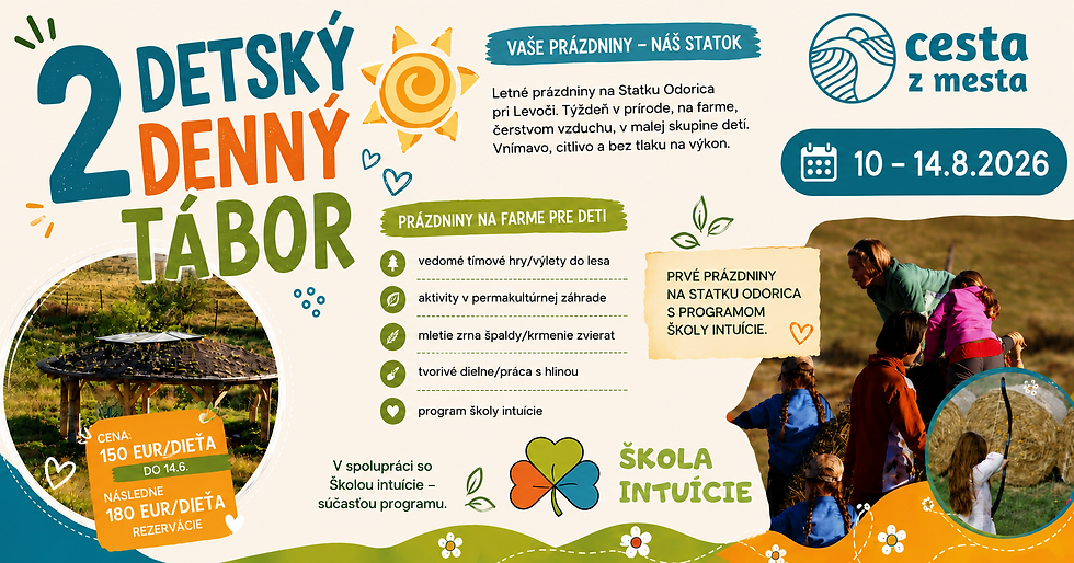 Detský denný tábor 2
