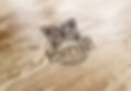 Empire_Logo_Wood