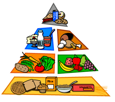 piramide alimenticia