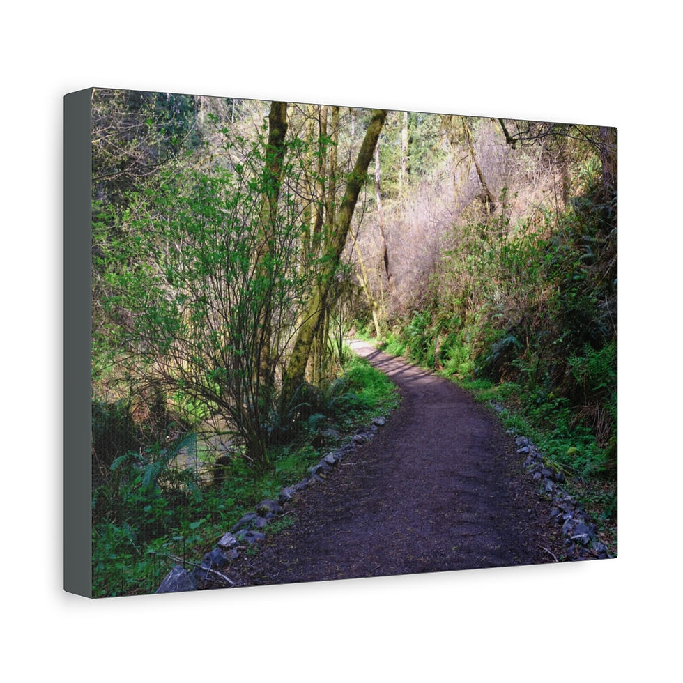 Thumbnail: Matte Canvas, Stretched, 1.25"