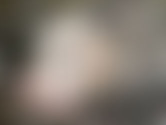 The Opossum and the Pudding