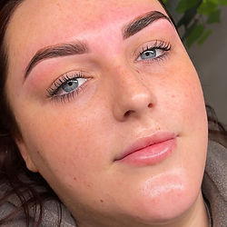 Hybrid Signature Brow