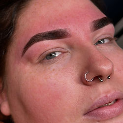 Hybrid Signature Brow