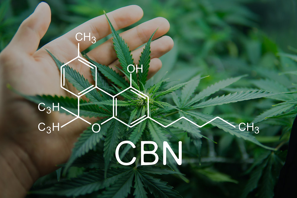 What is CBN? Benefits & Effects of Cannabinol | House of Dankness