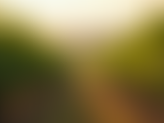 How to Determine the Worth of Your Winery: Winery Valuation Methods