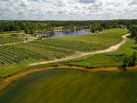 Winery