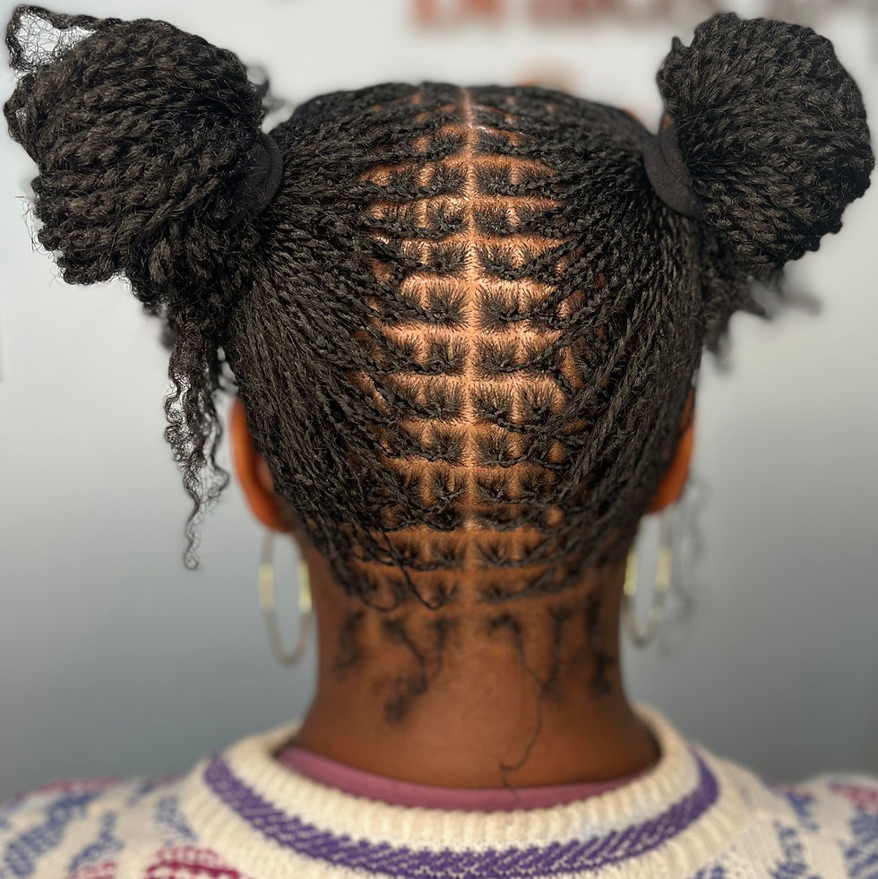 Microlocs Twist with Natural Hair