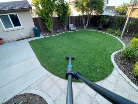 Effective Pest Control Solutions in Corona and Anaheim for a Pest-Free Home