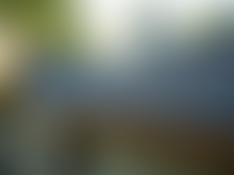 Transform Your Home with the Best Window Replacement and Roofing Services in Kalamazoo MI