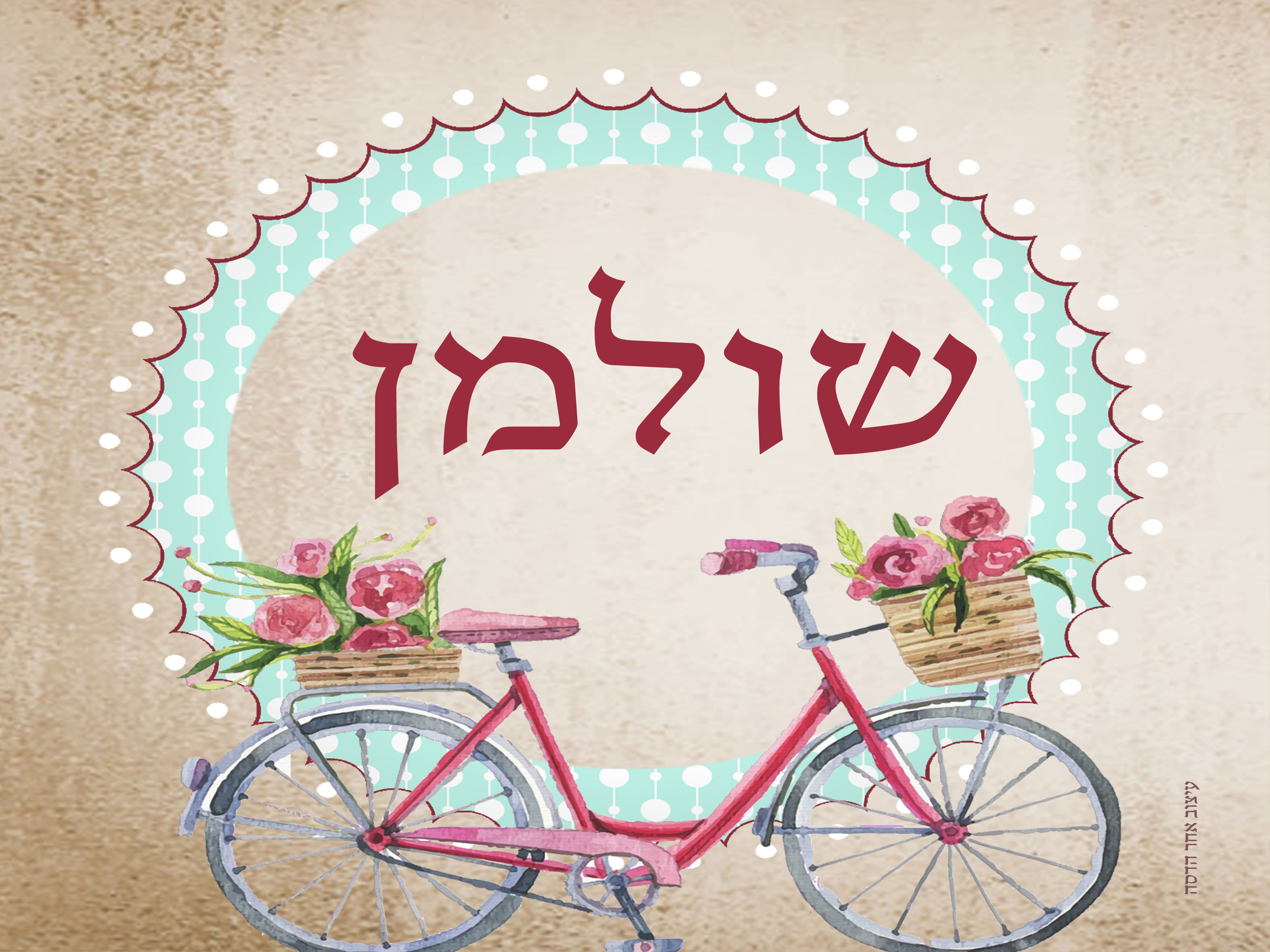 שלט  מגנט לדלת דגם "שולמן" 15-20 ס"מ