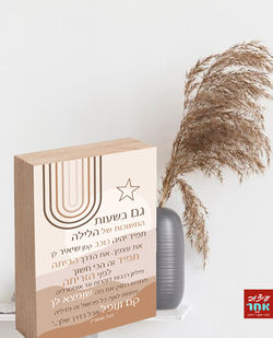 home-plant-decoration-arrangement-with-copy-space_23-2149090639