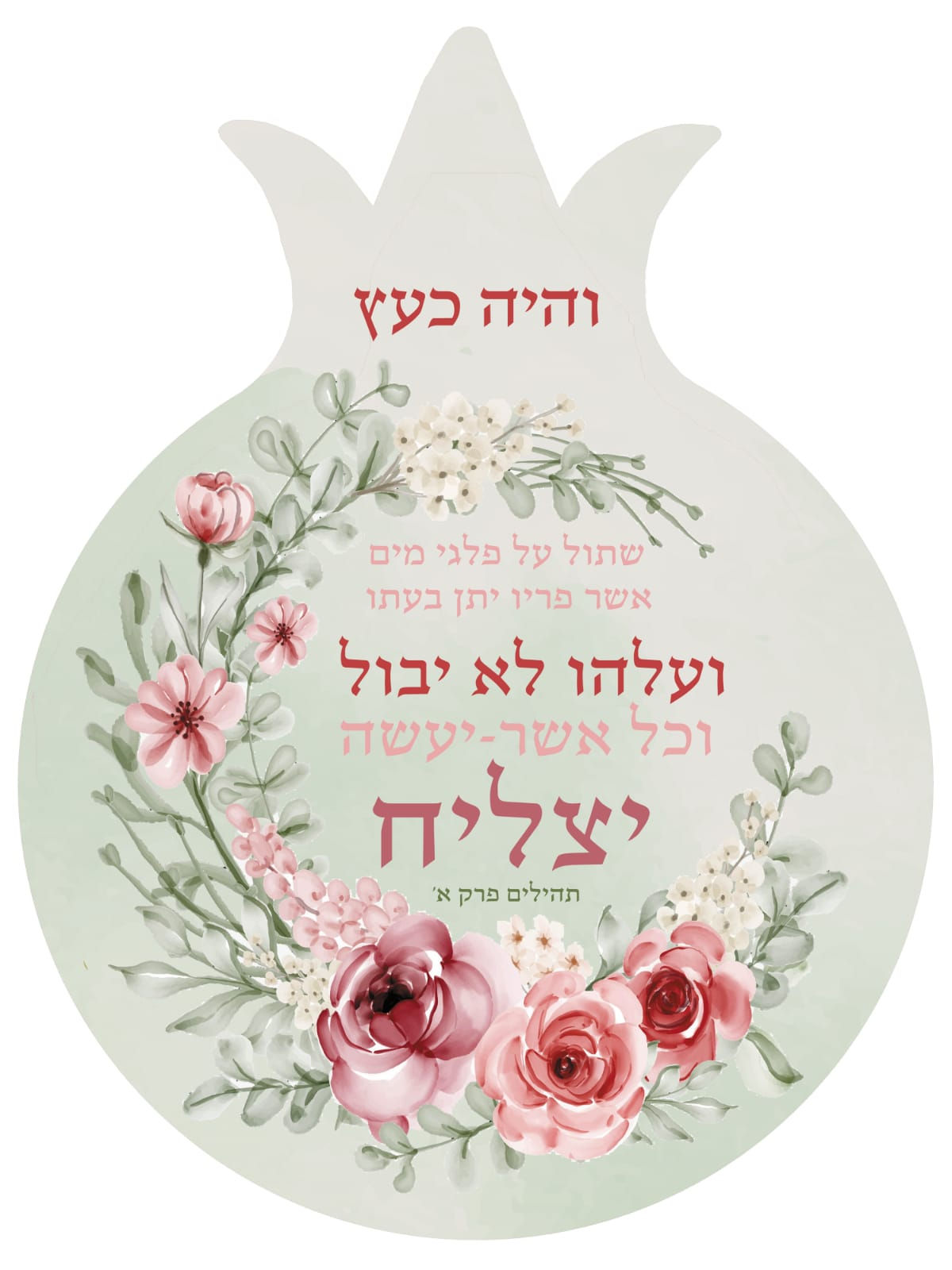 רימון מגנט והיה כעץ שתול 15-19 ס"מ