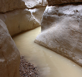 Spending the night at the bottom of the Grand Canyon will certainly be one of the most memorable experiences for your kids and family. You can get here by a helicopter or a mule ride and return the next morning.
