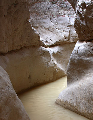Desert Stream