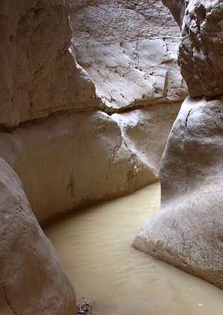 Desert Stream