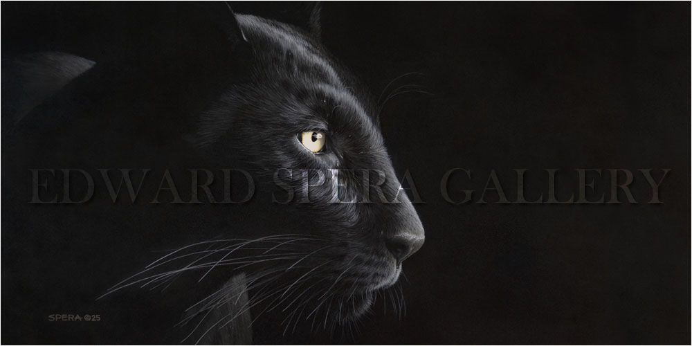 Edge of Darkness - Black Panther (Rectangle)