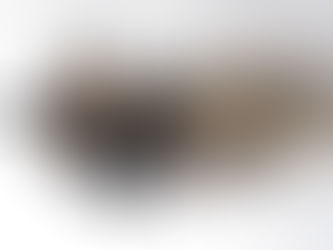 Paper Clay Sculptures - so far...