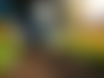 Volunteer Stories: Impacting Communities Together