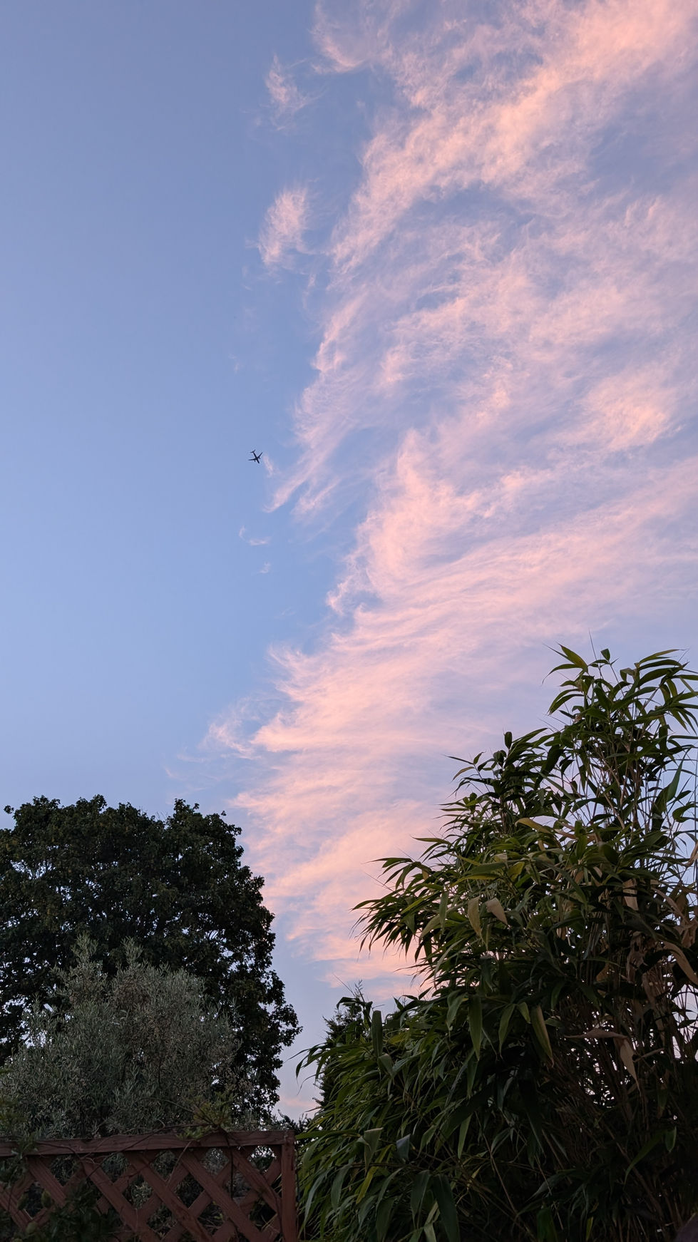 PXL_20250614_201508849.MP