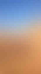 PXL_20251127_115801394.MP~2