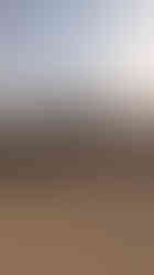 PXL_20251127_130001674.MP