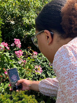 Woman taking photo of pink flowers