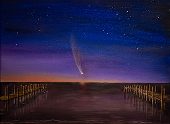 Neowise Over the Potomac