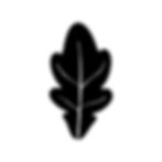 oak-leaf-black-color-icon-vector.jpg