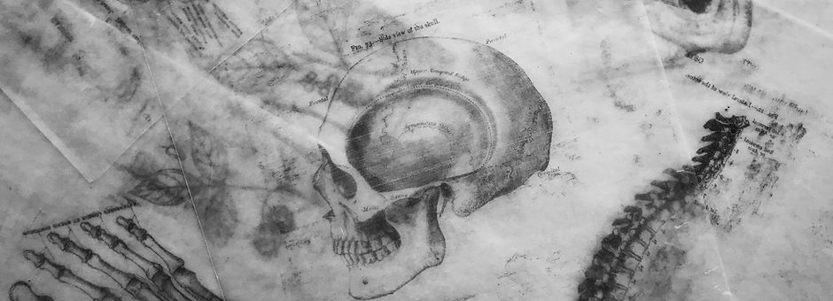 Skull Sketches