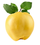 Membrillo.png