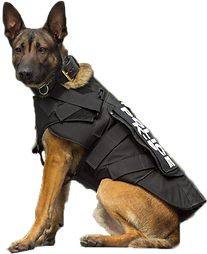 perro.png