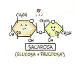 sacarosa.jpg