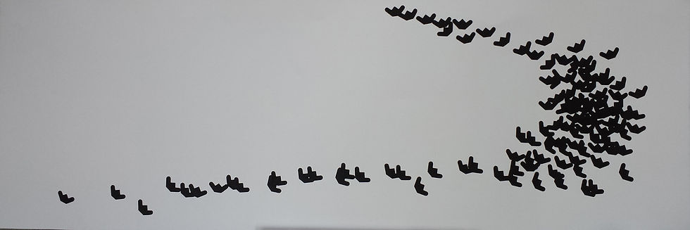Dennison's murmuration