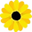fondo.png