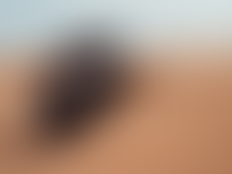 Bowler-Defender-Sand-dunes