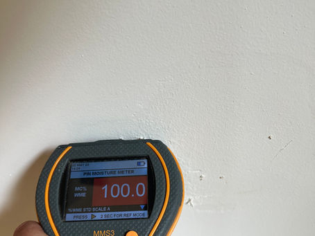How We Survey Damp in Period Properties Without the Sales Pitch