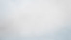 RevFilm_White_BG.jpg