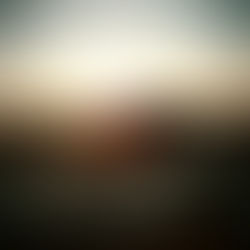 中越地震震源地にて福島のみなさんと田植え