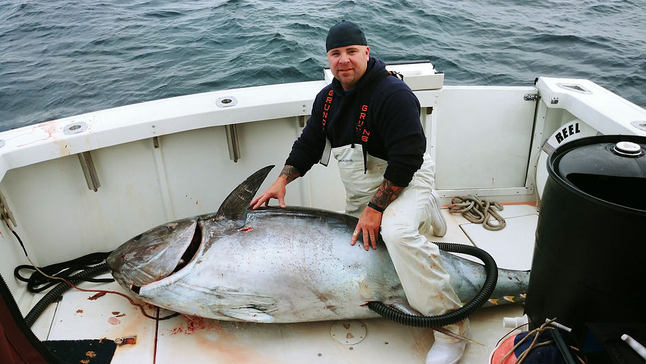 Giant Blue Fin Tuna