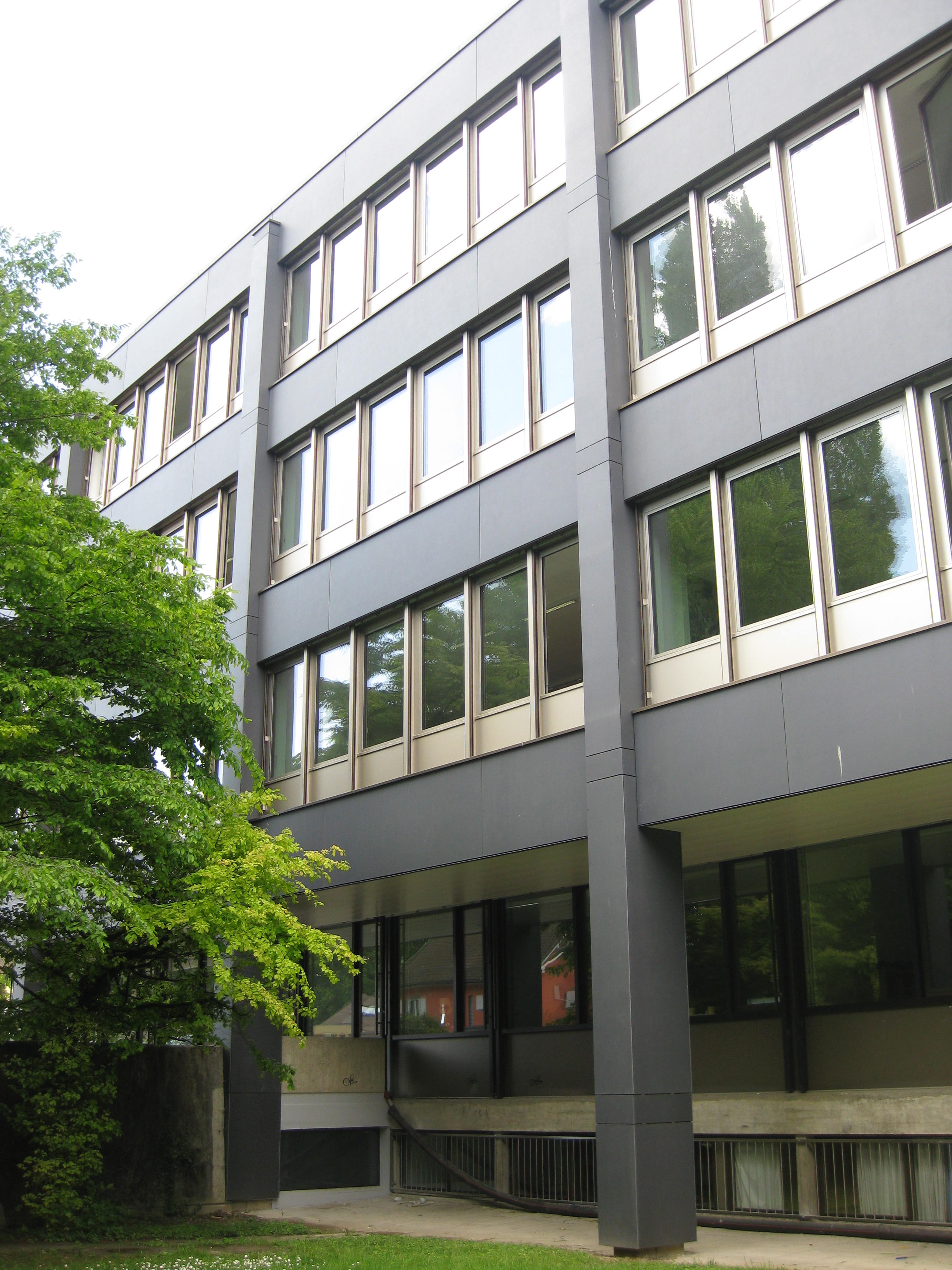 Collège du Martinet