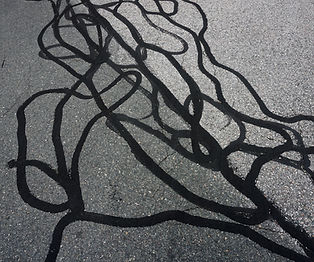 Close-up of an asphalt surface with multiple black crack sealant lines applied to repair pavement cracks. The sealant contrasts with the gray road, highlighting the maintenance work.